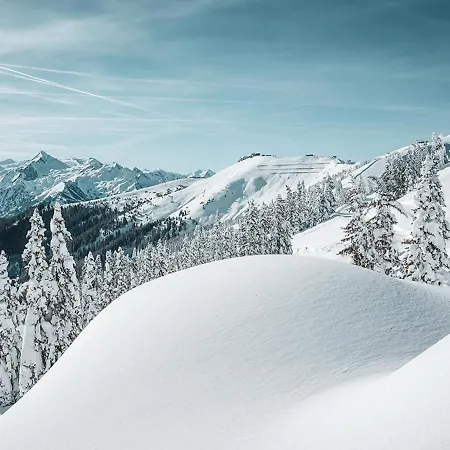 Haus Elise By We Rent, Summercard Included * Zell am See