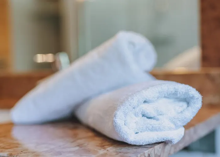 Appartement Haus Elise By We Rent, Summercard Included Zell am See