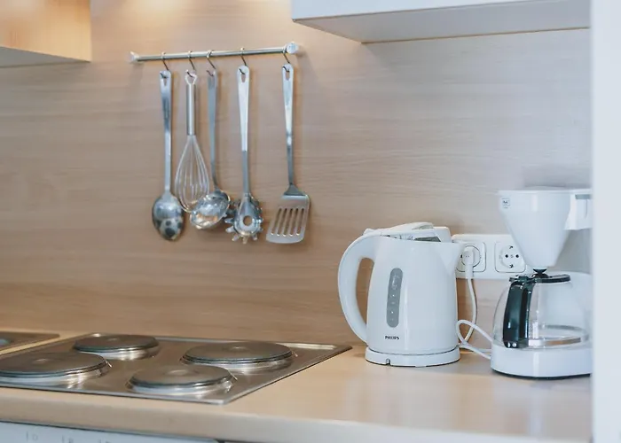 Apartman Haus Elise By We Rent, Summercard Included Zell am See