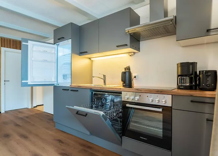 Apartman Haus Elise By We Rent, Summercard Included Zell am See