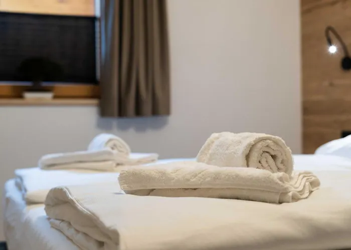 Apartment Haus Elise By We Rent, Summercard Included Zell am See