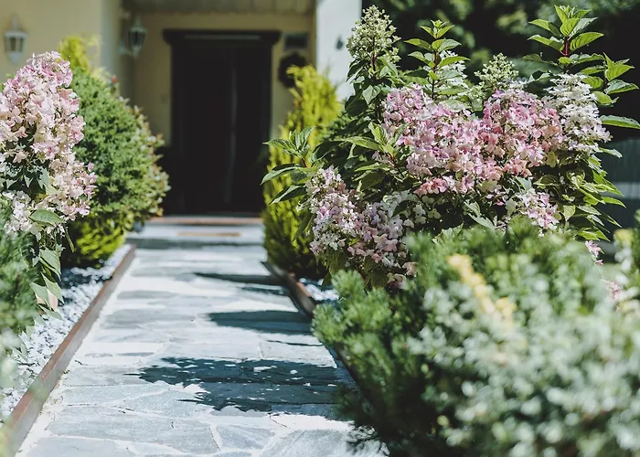 Apartment Haus Elise By We Rent, Summercard Included