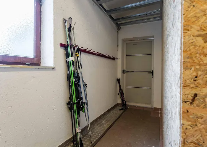 Apartment Haus Elise By We Rent, Summercard Included Zell am See