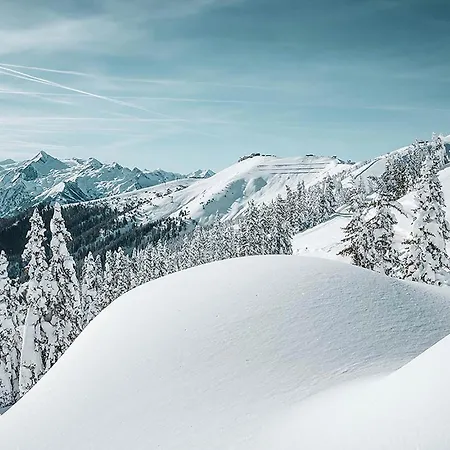 Haus Elise By We Rent * Zell am See